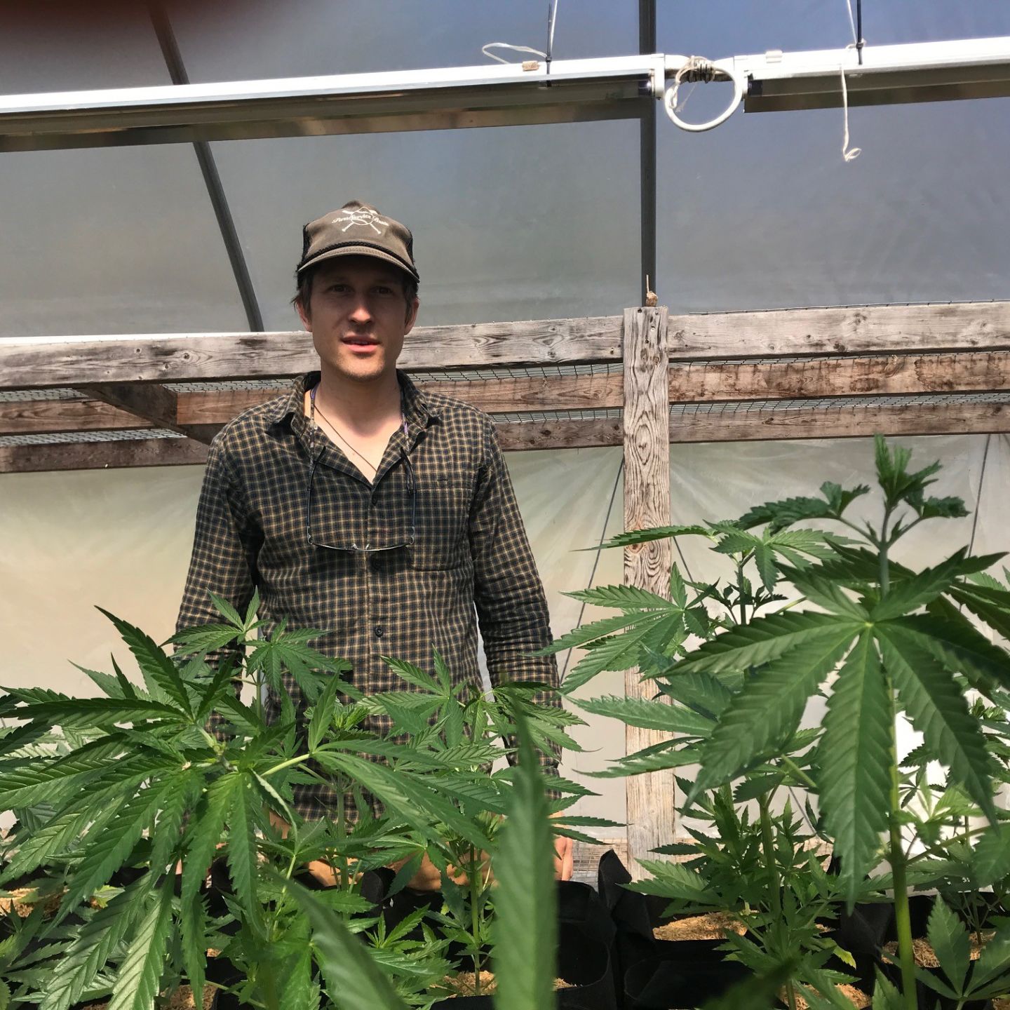 Wildfox Provisions: Hemp Leader of Eastern Berks County